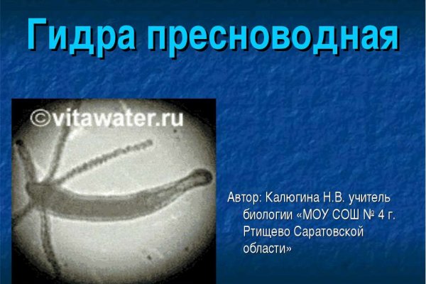Сайт кракен 24