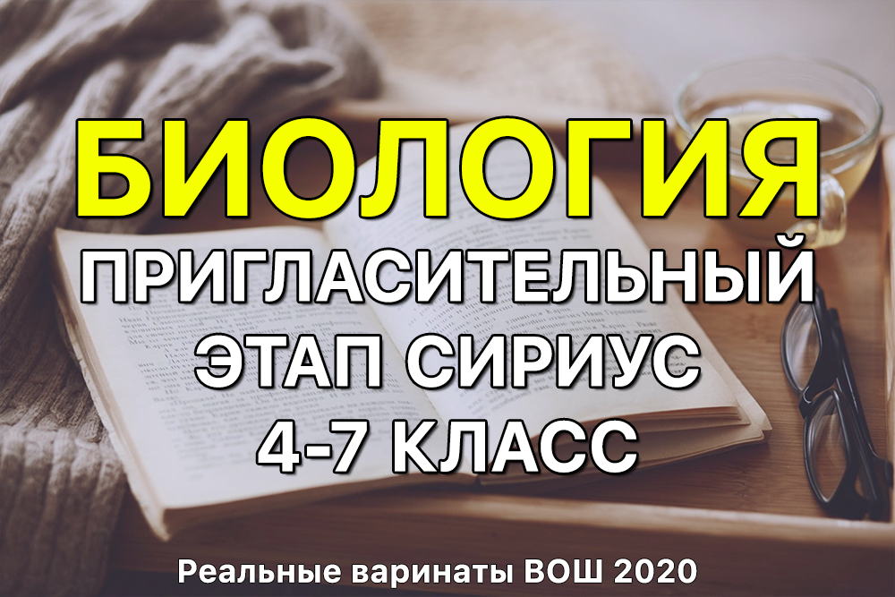 Маркетплейс кракен kraken